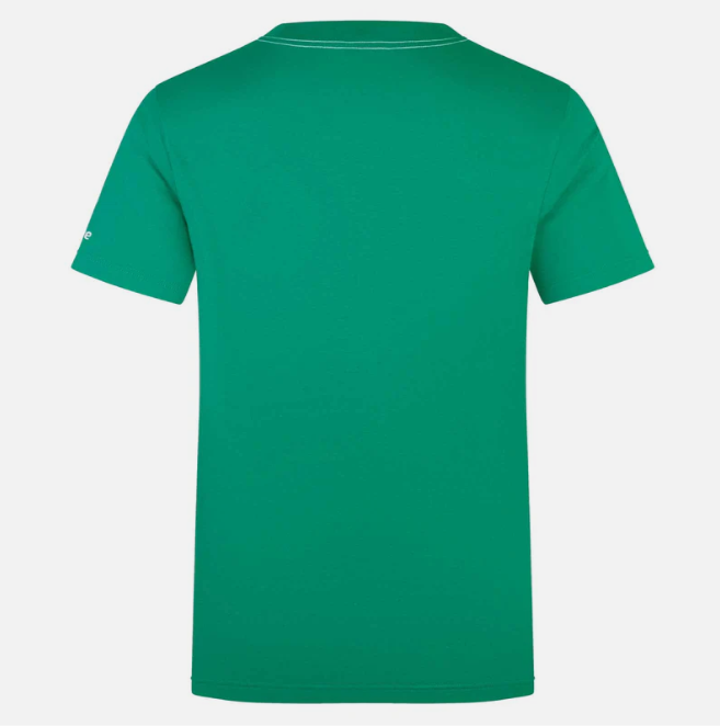 24/25 Ireland Rugby Mens Cotton Tee Green 2